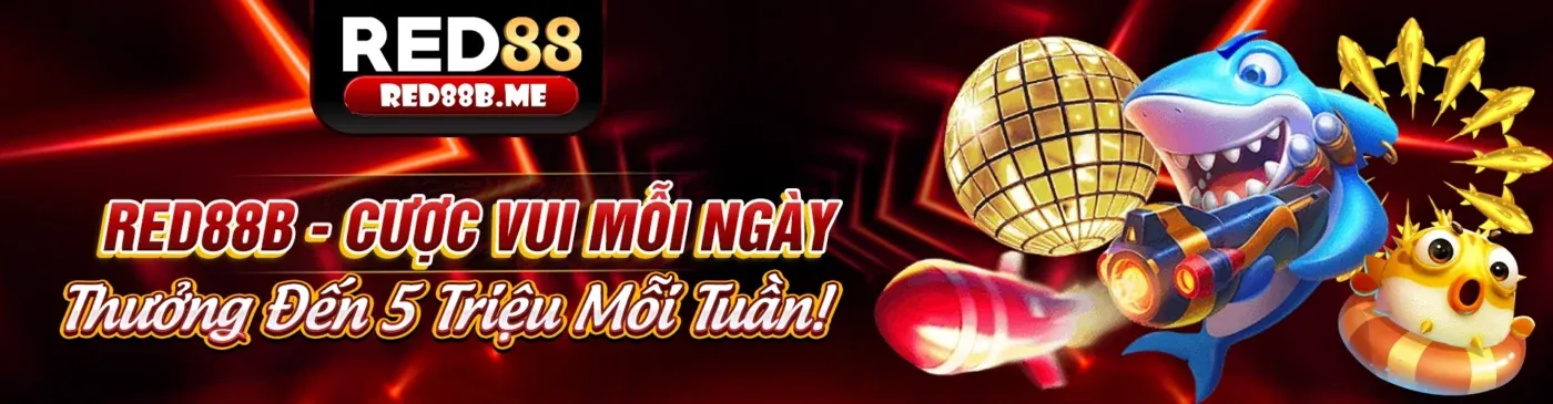 Liên hệ vip66 chính thức để được hỗ trợ tốt nhất